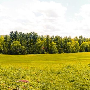 Panorama of Valley Forge National Battlefield. Valley Forge National Battlefield