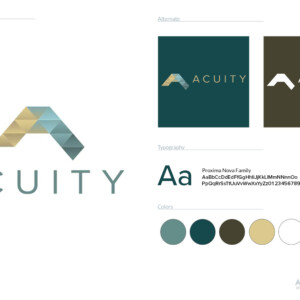 Simple branding spec sheet Simple branding spec sheet for Acuity Financial