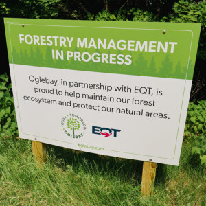 Today Tomorrow Oglebay forestry management sign Today Tomorrow Oglebay forestry management sign