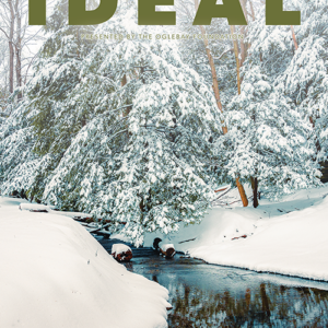 The American Ideal is semi-quarterly magazine (some years they do four, some years they do three) for supporters of Oglebay Park Resort and Wheeling Park. For this edition, I did all of the design, layout, and packaging for publication. The American Ideal is semi-quarterly magazine (some years they do four, some years they do three) for supporters of Oglebay Park Resort and Wheeling Park. For this edition, I did all of the design, layout, and packaging for publication.
