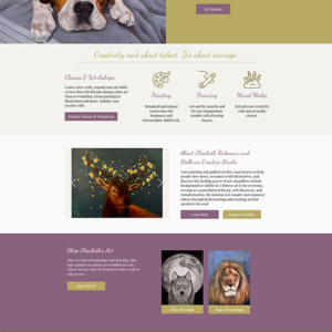 Completely rebuilt the home page to better segment the types of art and classes available and generate a more efficient user flow through high contrast blocking. Stellaris Creative Studio - Home. Completely rebuilt the home page to better segment the types of art and classes available and generate a more efficient user flow through high contrast blocking.
