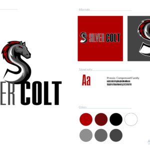 Silver Colt, a tech consulting start up, wanted a logo that was highly focused on iconography. They liked the look of sports mascots and wanted a dramatic look. Silver Colt, a tech consulting start up, wanted a logo that was highly focused on iconography. They liked the look of sports mascots and wanted a dramatic look.