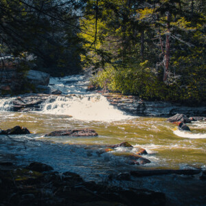 Swallow Falls State Park