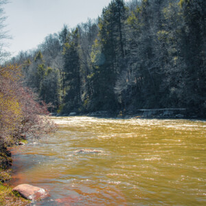 Swallow Falls State Park