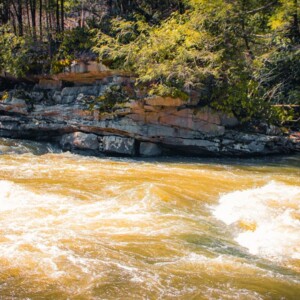 Swallow Falls State Park