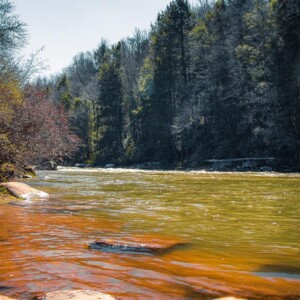 Swallow Falls State Park