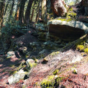 Swallow Falls State Park