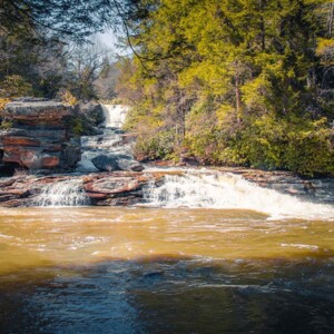 Swallow Falls State Park