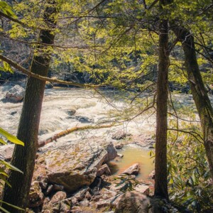 Swallow Falls State Park