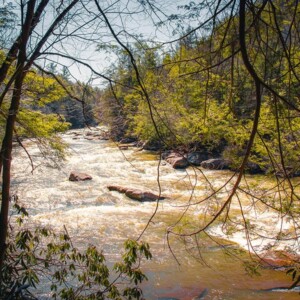 Swallow Falls State Park
