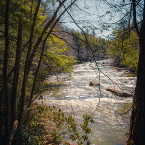 Swallow Falls State Park