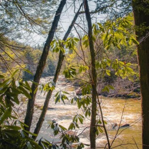 Swallow Falls State Park