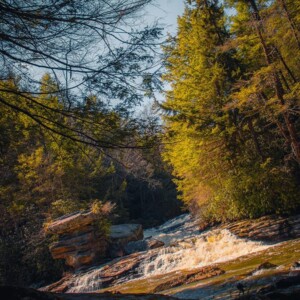 Swallow Falls State Park