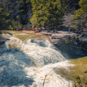Swallow Falls State Park