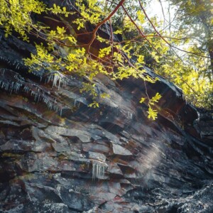 Swallow Falls State Park