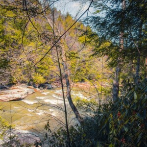 Swallow Falls State Park