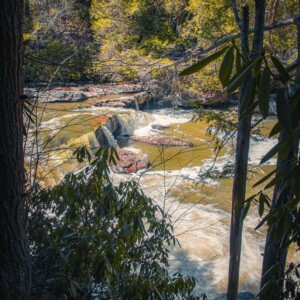 Swallow Falls State Park