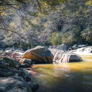 Swallow Falls State Park