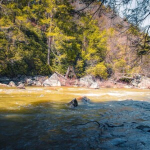 Swallow Falls State Park