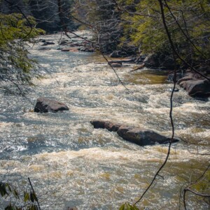 Swallow Falls State Park