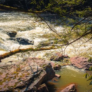 Swallow Falls State Park