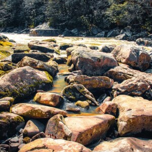Swallow Falls State Park