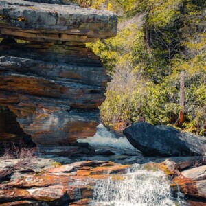 Swallow Falls State Park