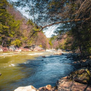 Swallow Falls State Park