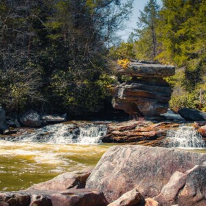 Swallow Falls State Park