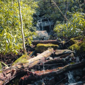 Swallow Falls State Park