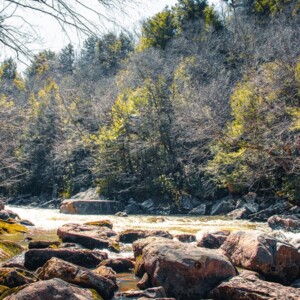 Swallow Falls State Park