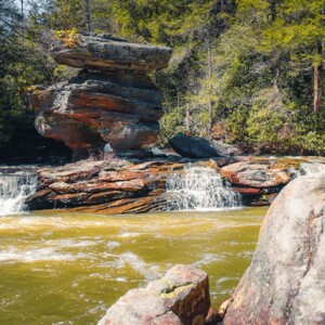 Swallow Falls State Park
