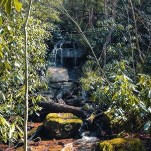 Swallow Falls State Park