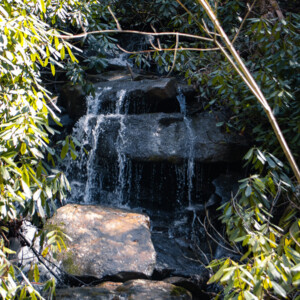 Swallow Falls State Park