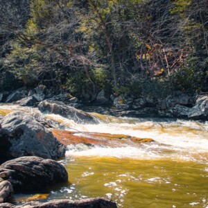 Swallow Falls State Park