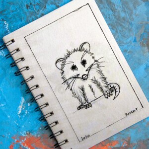 Everyone loves an opossum, right? They're the grumpy cats of the rodent world, so how can you not?! Inktober 2020 - Day 6: Rodent. Everyone loves an opossum, right? They're the grumpy cats of the rodent world, so how can you not?!